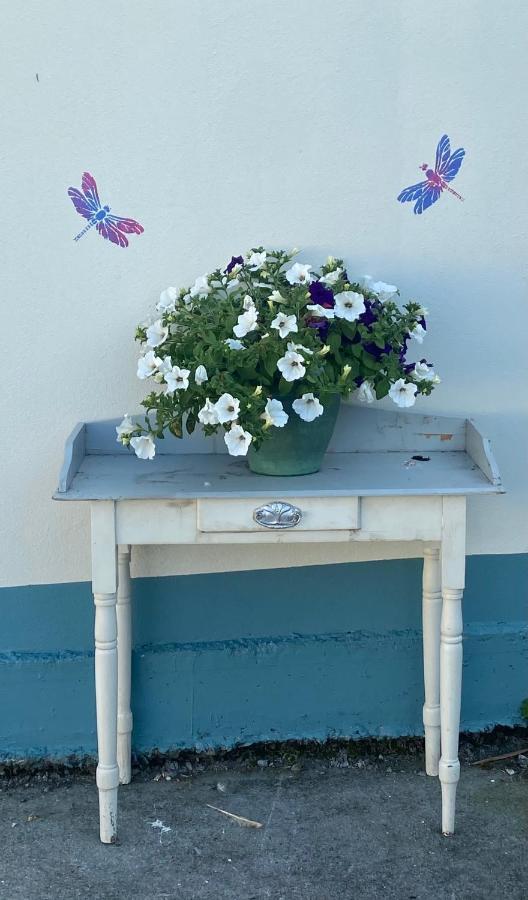 Farm Stay Property Pets And Families Welcome Rossnowlagh Dış mekan fotoğraf