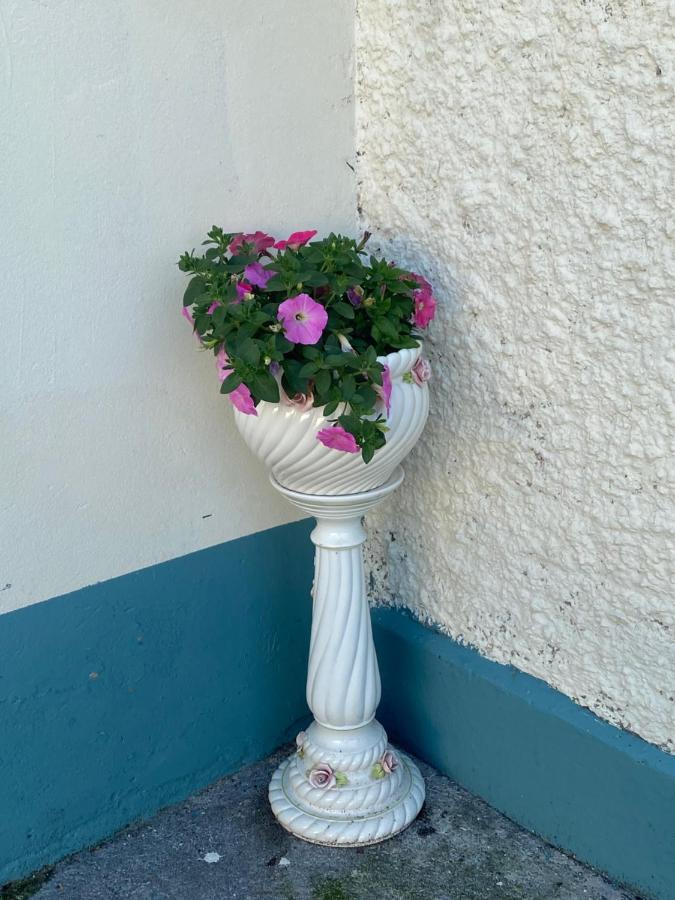 Farm Stay Property Pets And Families Welcome Rossnowlagh Dış mekan fotoğraf
