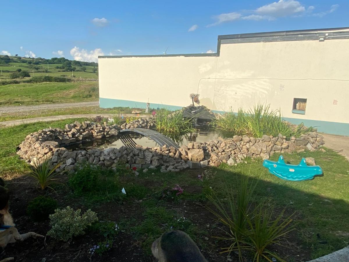 Farm Stay Property Pets And Families Welcome Rossnowlagh Dış mekan fotoğraf