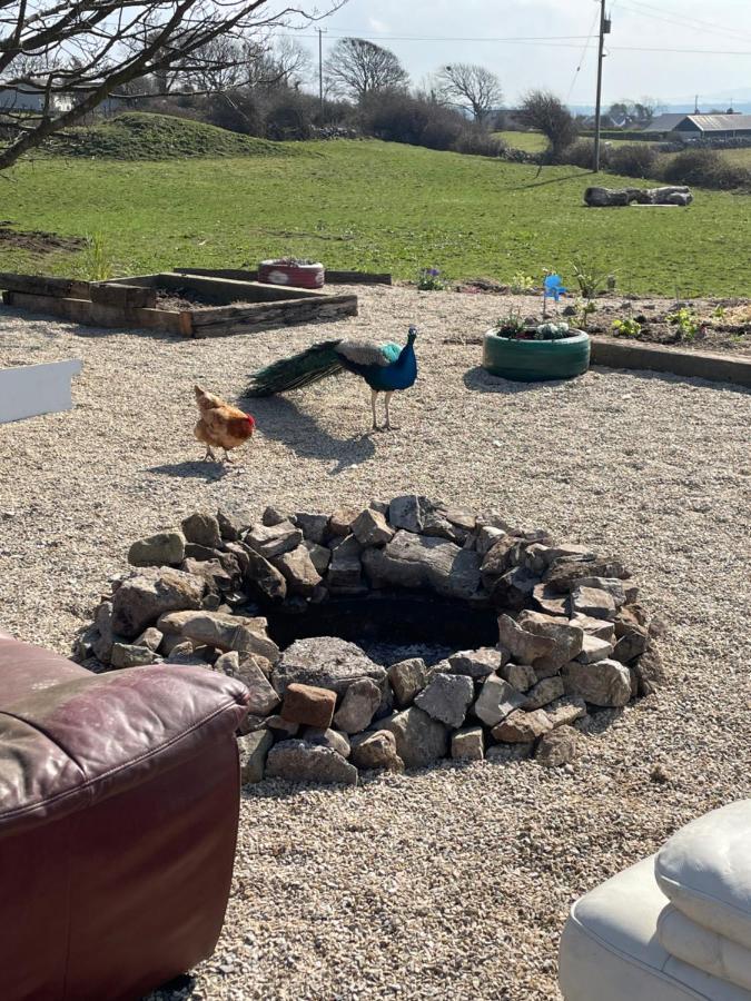 Farm Stay Property Pets And Families Welcome Rossnowlagh Dış mekan fotoğraf