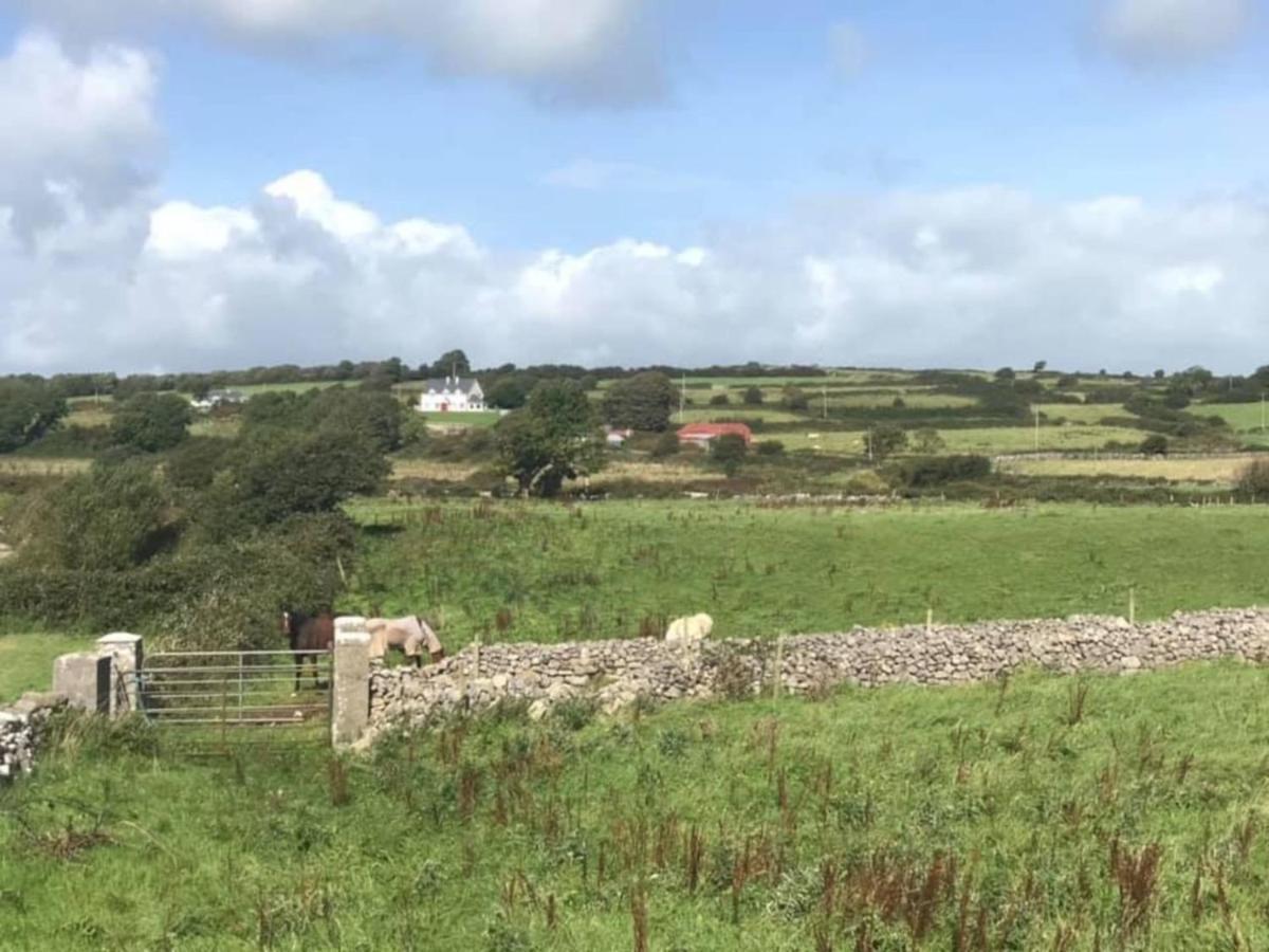 Farm Stay Property Pets And Families Welcome Rossnowlagh Dış mekan fotoğraf